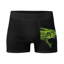Load image into Gallery viewer, Frog-Getaway Boxer Briefs