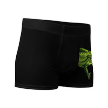 Load image into Gallery viewer, Frog-Getaway Boxer Briefs
