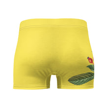 Load image into Gallery viewer, Springtime-Blast Boxer Briefs
